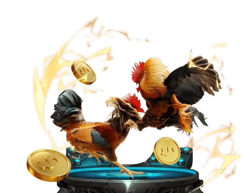 Tổng Quan Các Loại Khuyến Mãi Zalv888